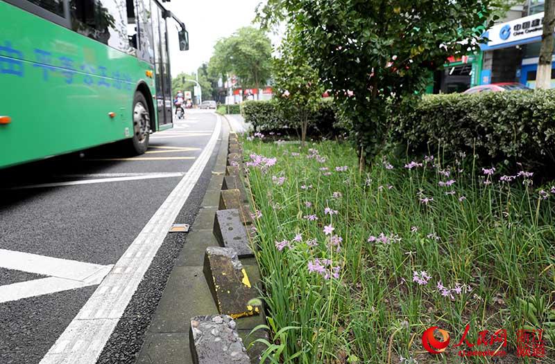 н^ȳ³ǅ^ȵ·Ըһs2.5׌ġ³ʽGHоG^߀ռͺBˮԴ z