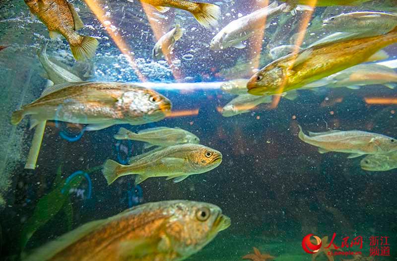 716ȫ˹BֳСS~ˮ΄ z