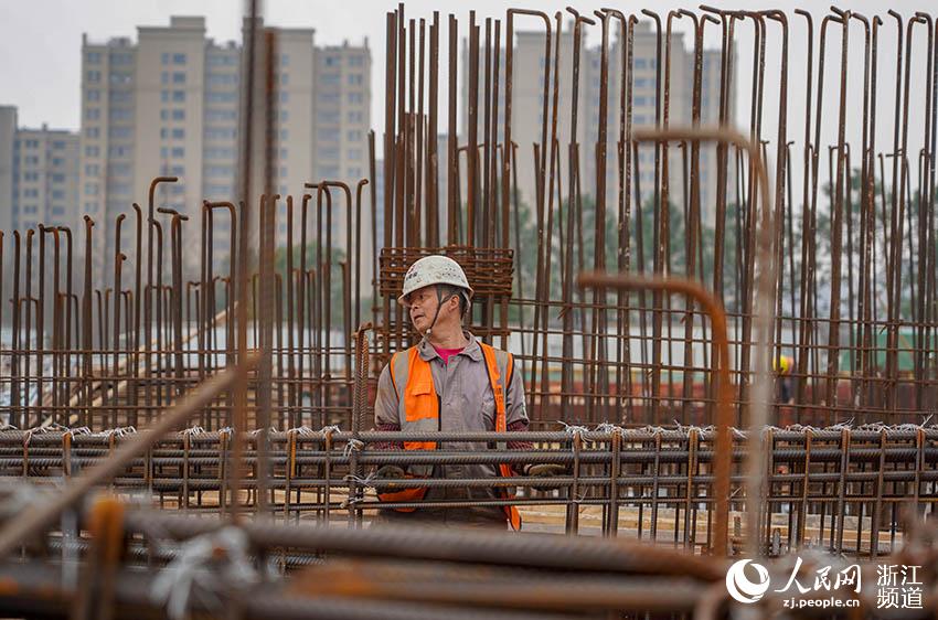 215㽭ʡĹˈڸԵčλæµW z