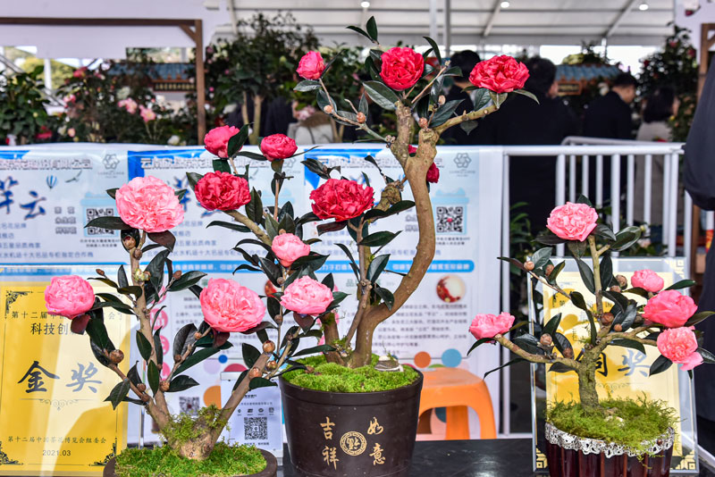 314ЇľaIǻ۲[@翗οĽMԊėǳz