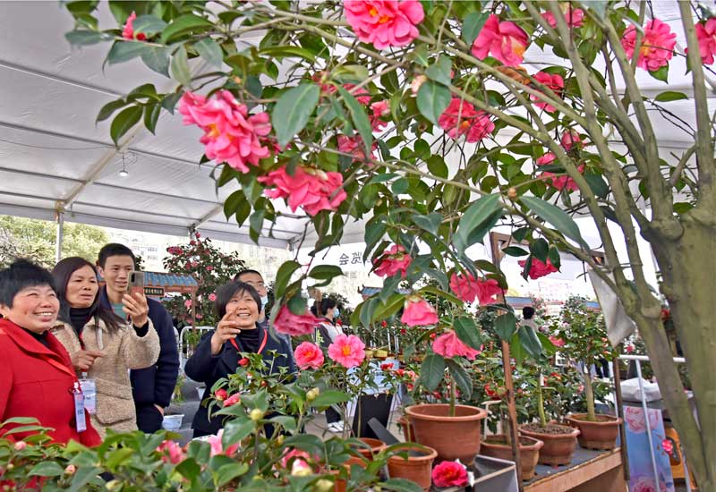 314ЇľaIǻ۲[@翗οĽMԊėǳz