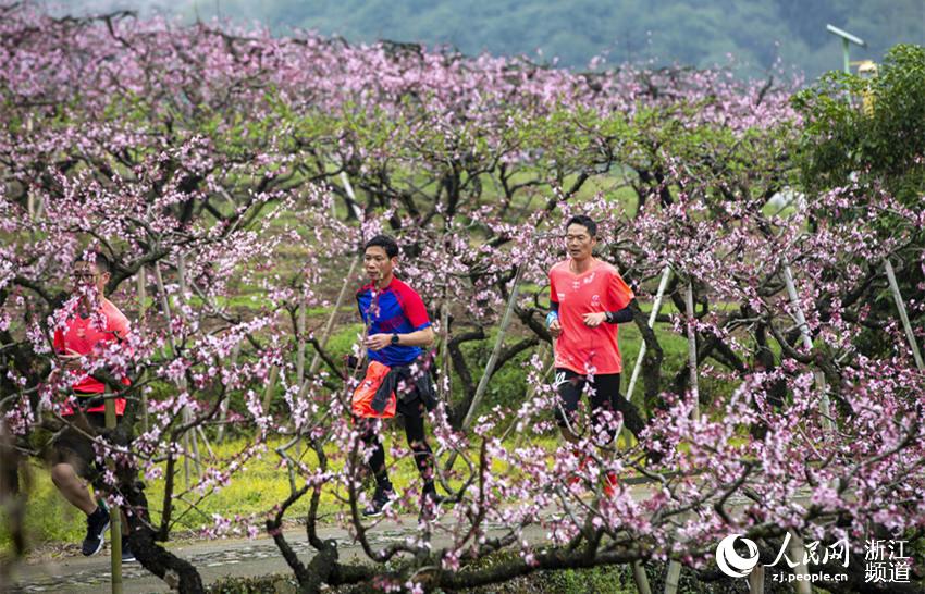 321ڌз^ּҴgW z