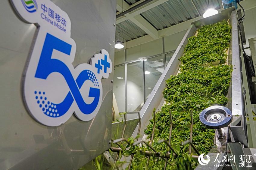 ƲOмb5GͨģKضӕrgO乤ˇMвɼԸõָ~ӹW z