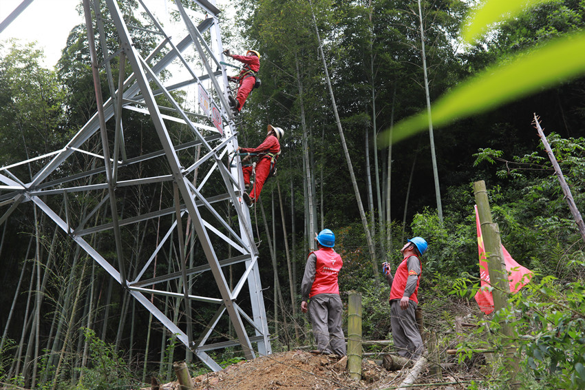 516WBd늹˾ݔ\zhT꠆T220ǧT24̖ʹßo˙Clݔ늾·ܓprMѲSz