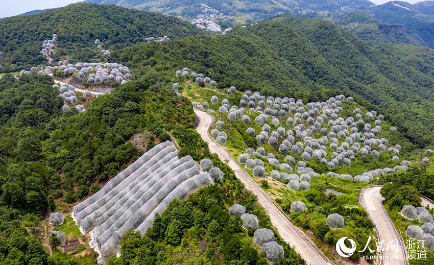 _Sr^ƽl÷÷䶼ڡÎW z