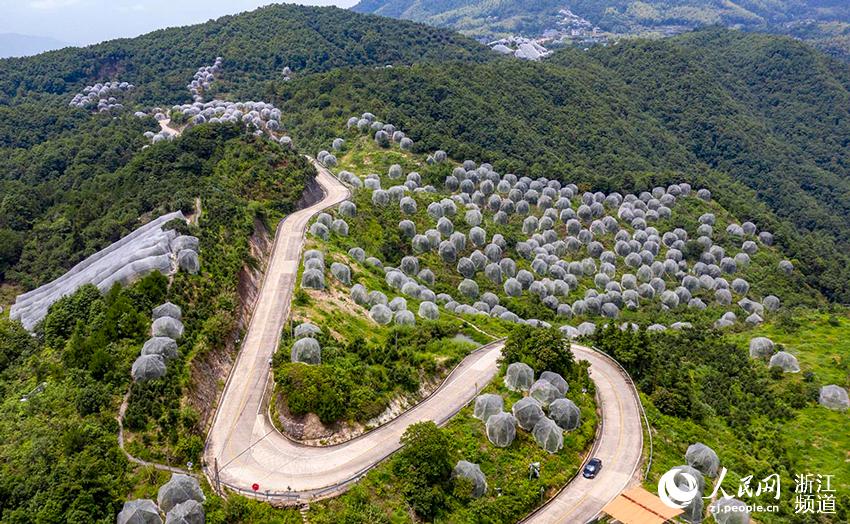 _Sr^ƽl÷÷䶼ڡÎW z