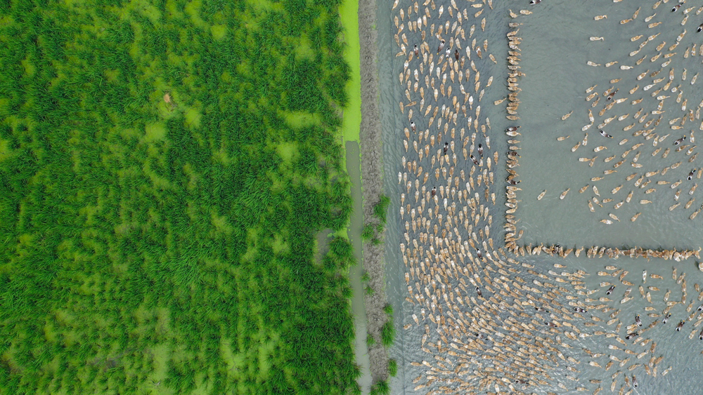 犹¸ʡFrI@^rˮgz