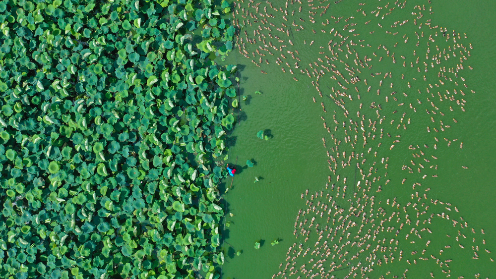 犹¸ʡFrI@^rˮgz