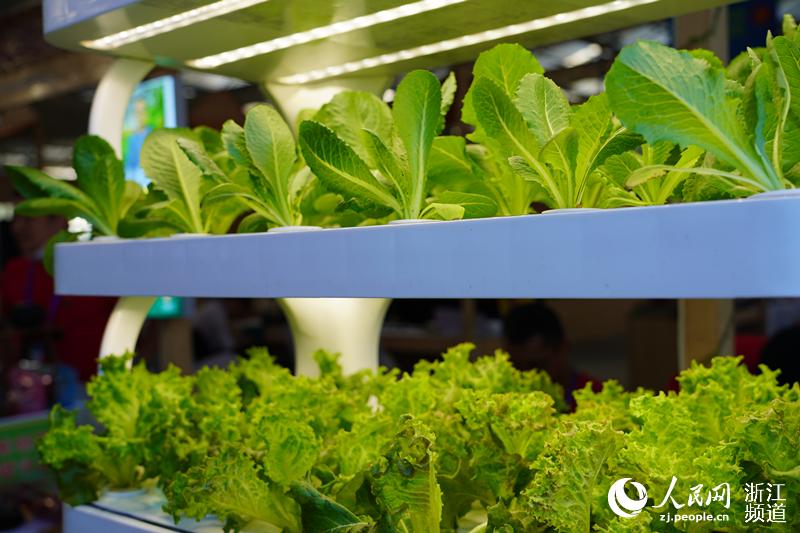 ܜؿoЙC߲W ʒʒz