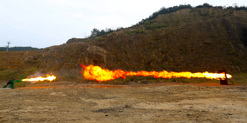 113侯㽭ʡꠙC֧꠹ٱMЌӖꐽܔz