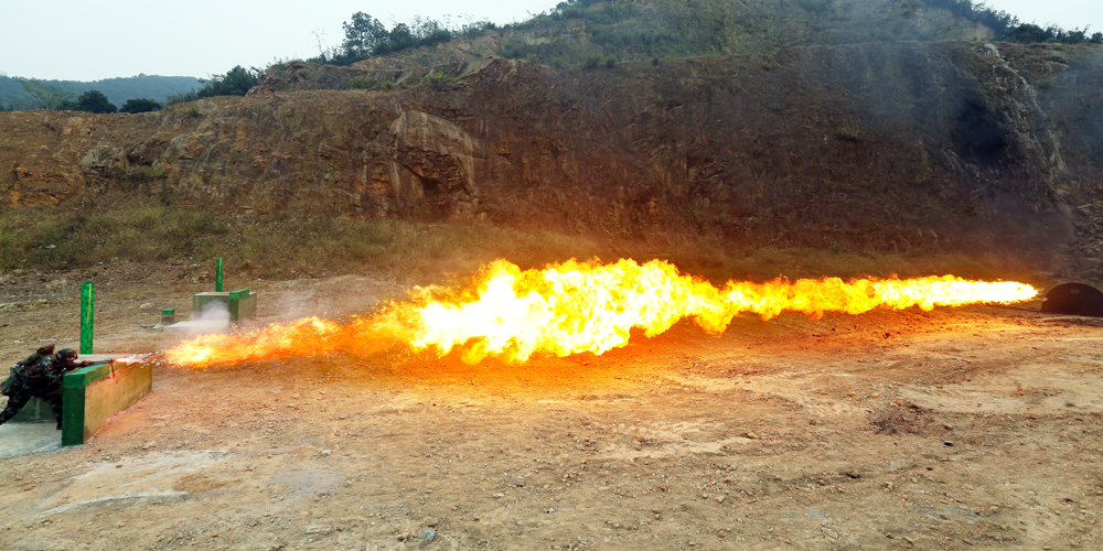 113侯㽭ʡꠙC֧꠹ٱMЌӖꐽܔz