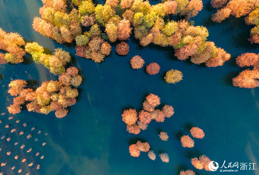 ߅ļtɼ_Ԋ箋oĶՎһĨůW z