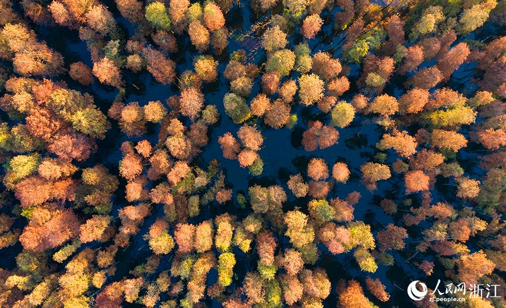 ߅ļtɼ_Ԋ箋oĶՎһĨůW z