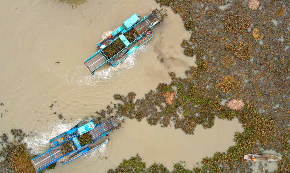 犹܌\֧_չѲЄz