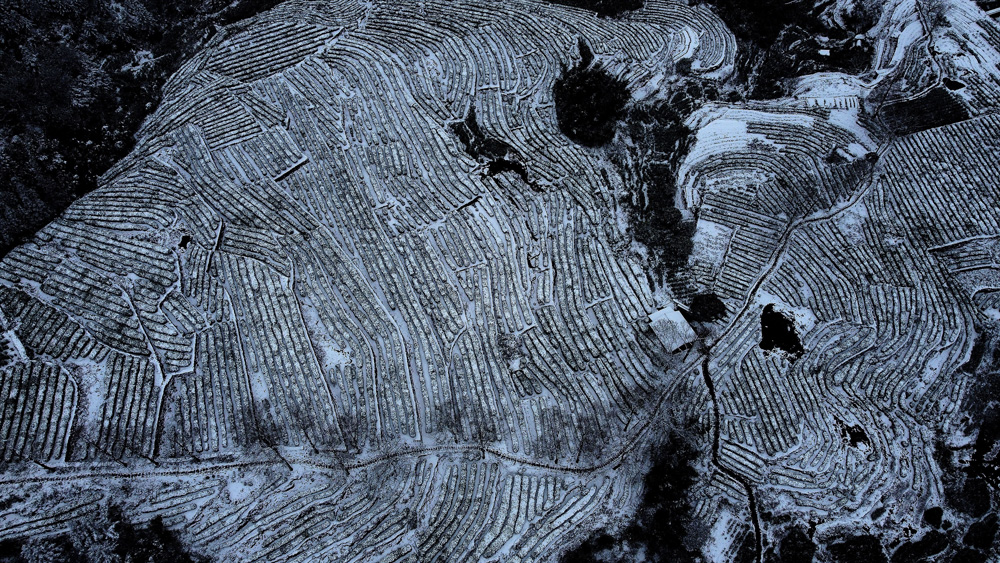 PPѩɢ̩호̎ɽǅ^^һybعľz