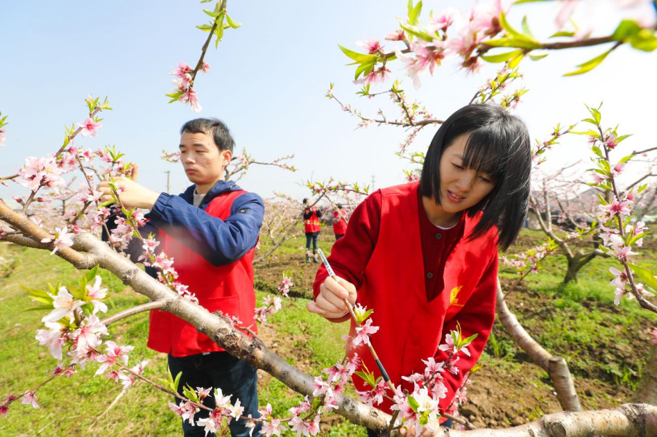 犹hTr꠳ɆTrһM˹ڷz