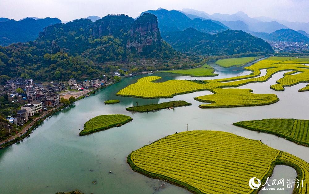 328㽭ʡRҽʮʢ_Ͳ˻ɫW z