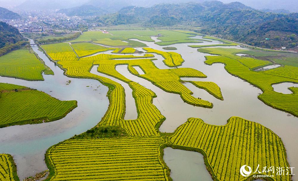 328㽭ʡRҽʮʢ_Ͳ˻ɫW z