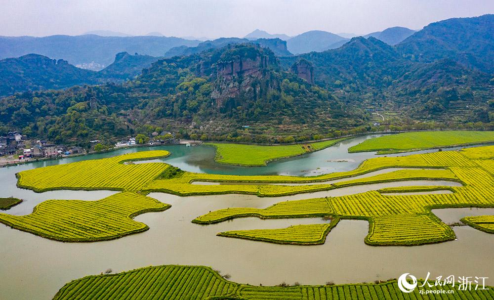 328㽭ʡRҽʮʢ_Ͳ˻ɫW z