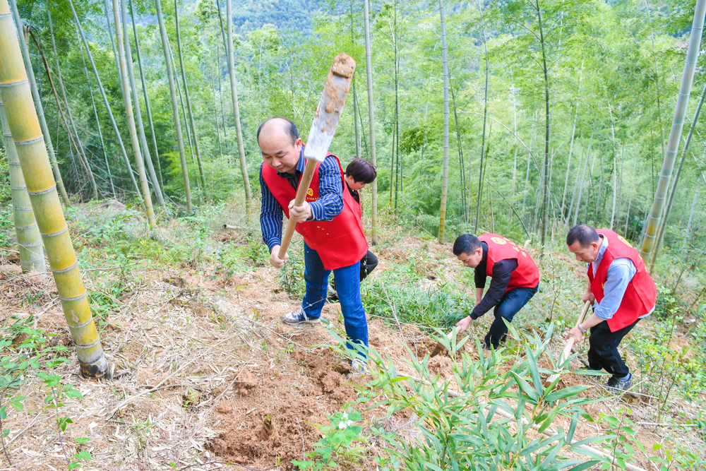 330ShTɲؚ犲ɽڹS_SrNͩ]hίD