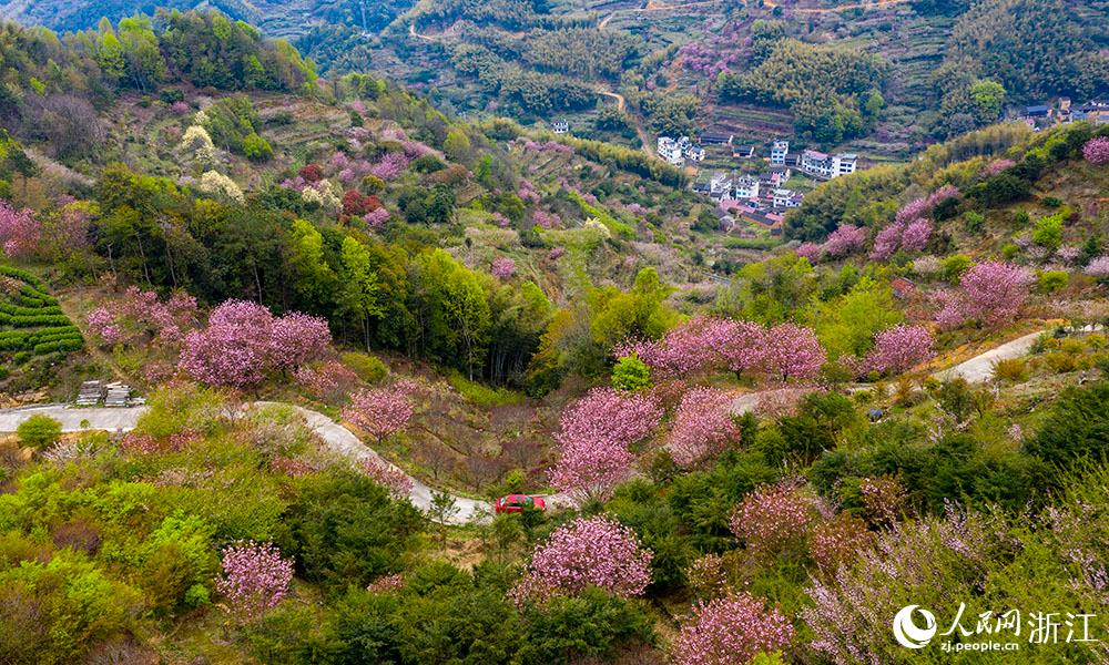 ܇vڙѻʢ_ĽBd²hСپW z