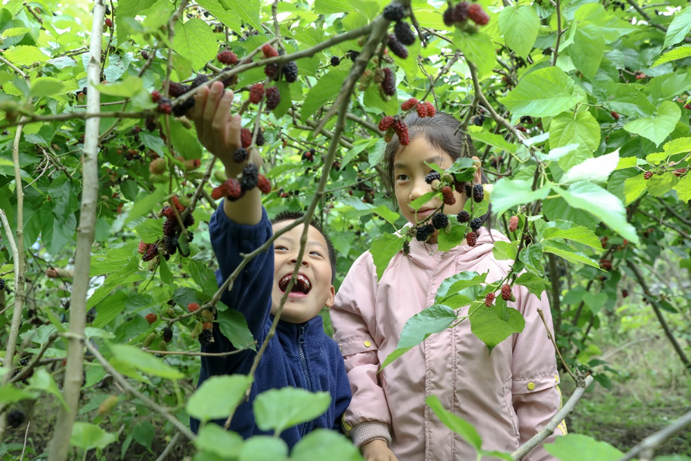 ںеh犹ϪߞI؃οڲժɣz