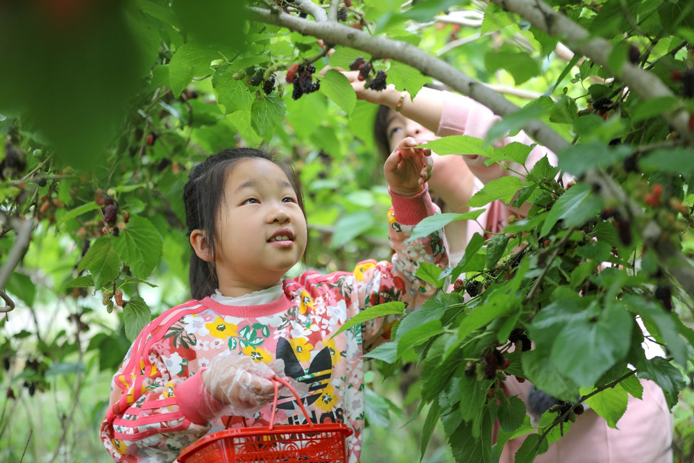 ںеh犹ϪߞI؃οڲժɣz