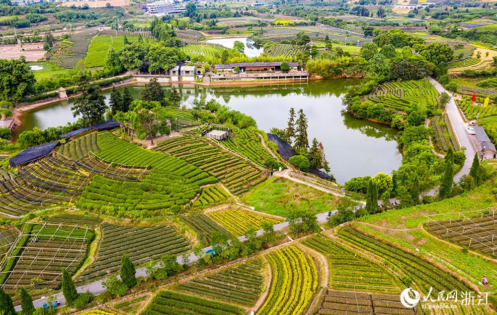 ˮꖿhľɽf@q򷭵{ɫPW z