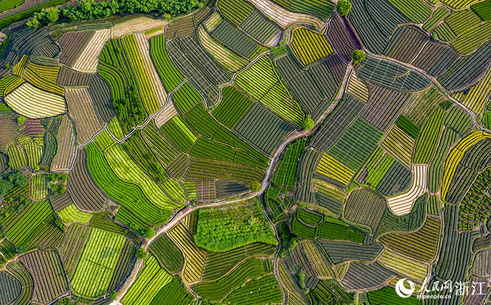 ˮꖿhľɽf@q򷭵{ɫPW z