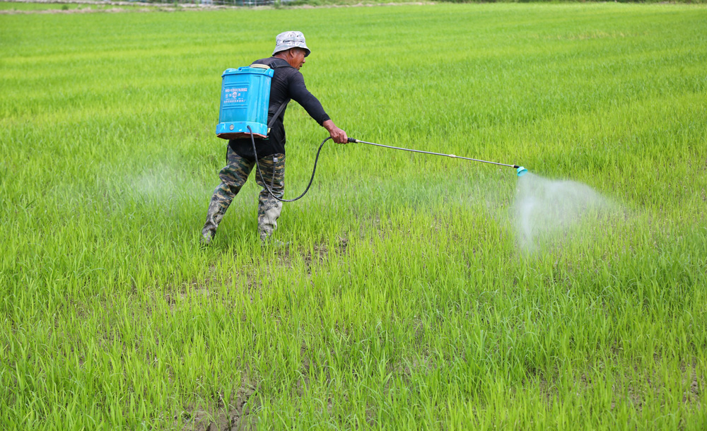 522_·^M悾絾ræz