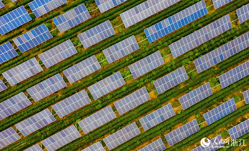 524ĽBd悡⻥alվW z