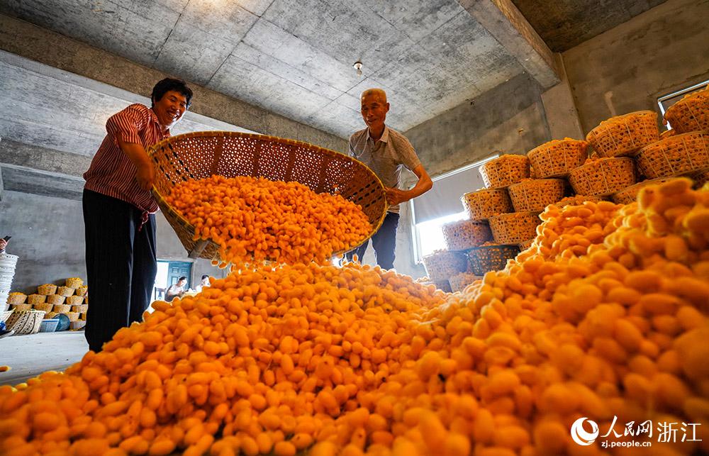 61㽭ʡͩlPQֵһ턂ُġSOW z