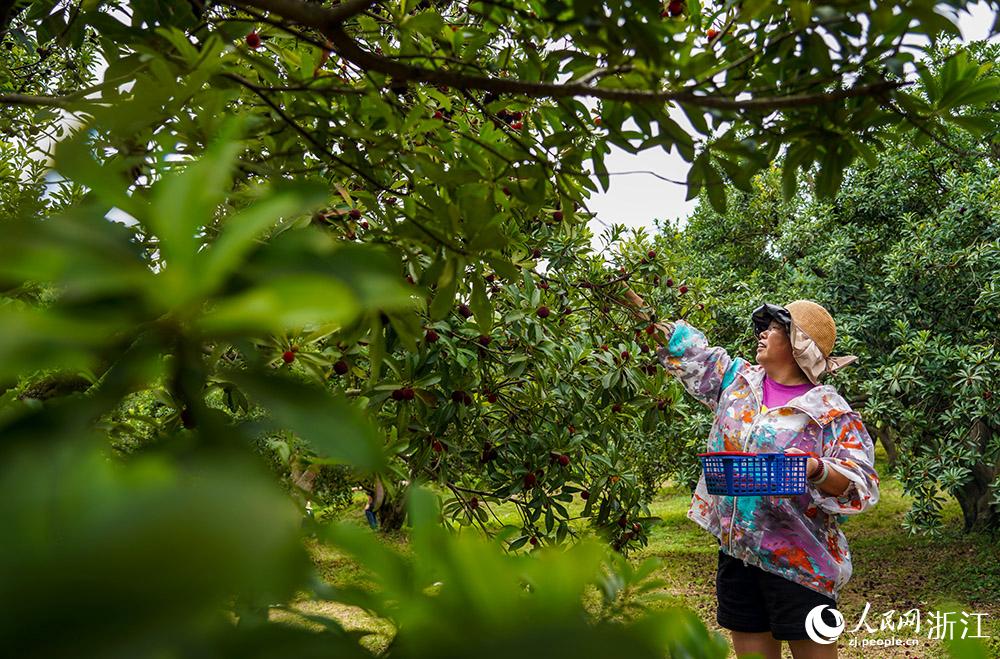 ο㽭ʡϪп悗÷زժ÷W z