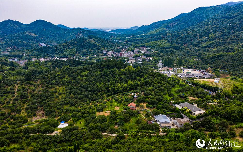 㽭ʡϪп悗÷W z