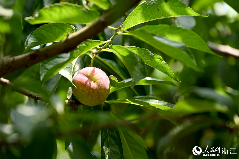 ҈@2500ԷNvʷW ~eÔz