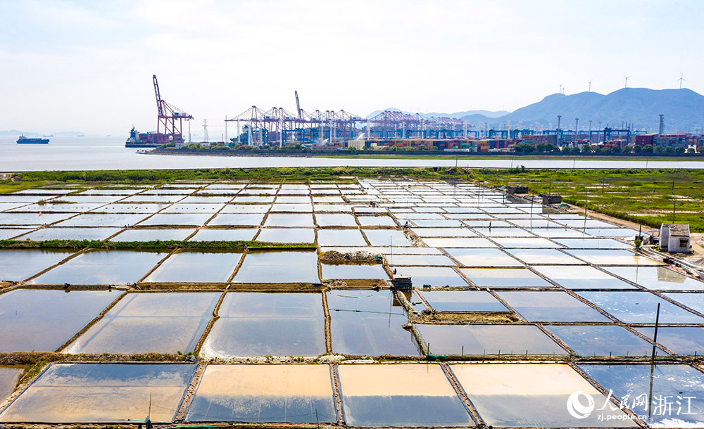 7月13日，航拍寧波市北侖區白峰街道外峙島鹽場。人民網 章勇濤攝
