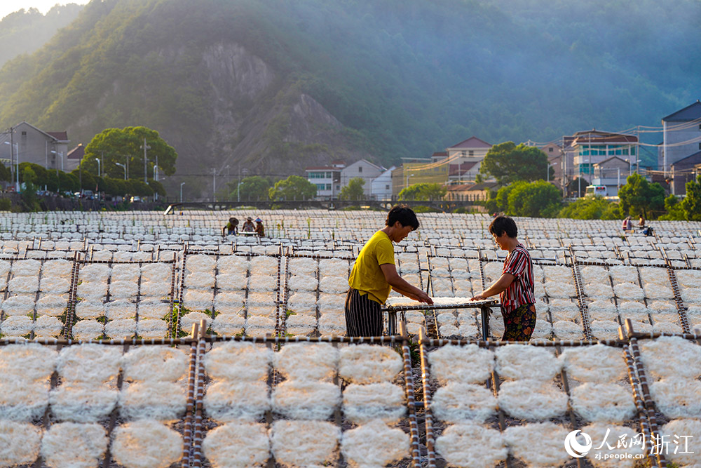 在浙江省嵊州市甘霖鎮殿前村的小烏溪江邊，村民們抓住晴好天氣忙著晾曬榨面。人民網 章勇濤攝
