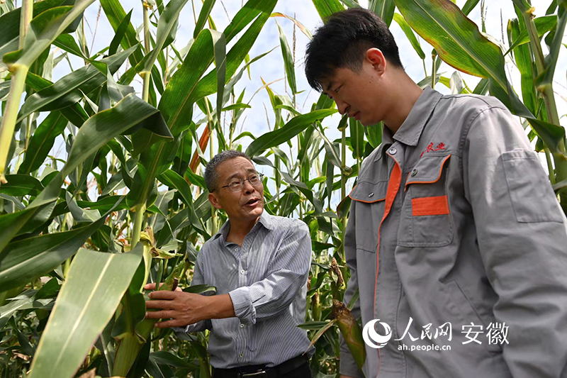 牛峰（左一）在田間地頭幫扶指導。人民網 苗子健攝