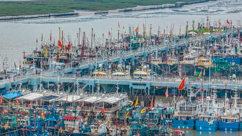 作業漁船陸續回港避風。周科攝