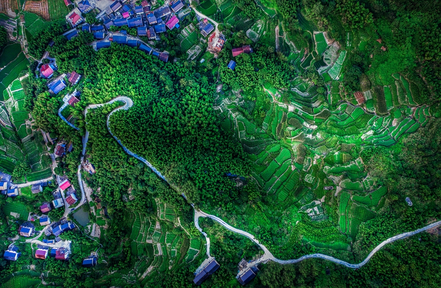 桐廬縣委宣傳部供圖