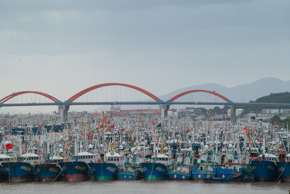 10月17日，在舟山市沈家門漁港，不少漁船已安全到港避風。諸葛曉明攝