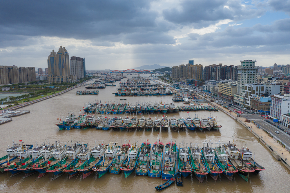 10月17日，在舟山市沈家門漁港，不少漁船已安全到港避風。諸葛曉明攝