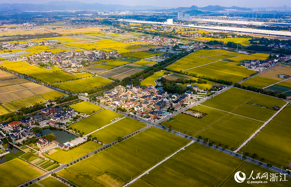 “四好農村路”穿行在美麗村莊、繁花綠樹、金色田園間，構成一幅美麗的鄉村畫卷。人民網 章勇濤攝