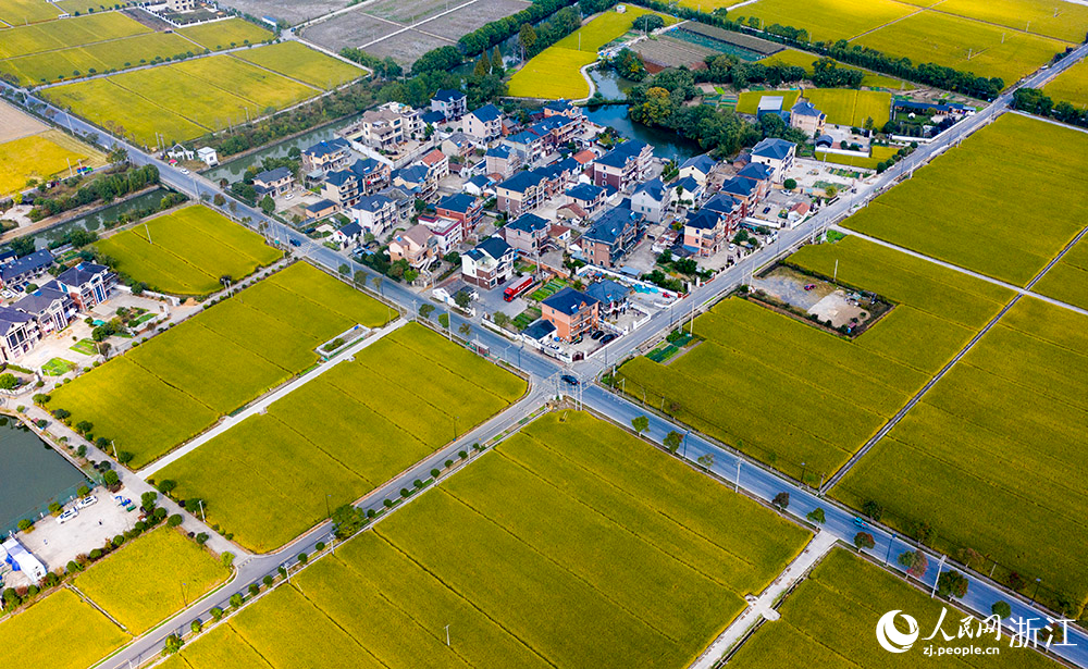 “四好農村路”穿行在美麗村莊、繁花綠樹、金色田園間，構成一幅美麗的鄉村畫卷。人民網 章勇濤攝