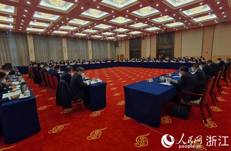 浙江省政協委員分組討論政府工作報告。人民網 張帆攝
