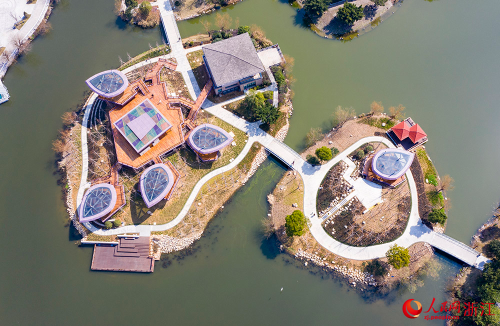 臺州黃巖官河古道鷺洲樹屋。人民網 章勇濤攝