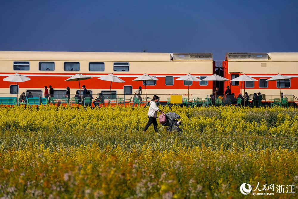 一列橙黃色的八節雙層火車“靜臥”在七彩油菜花海邊，吸引不少游客前來品咖啡、賞春色。人民網 章勇濤攝