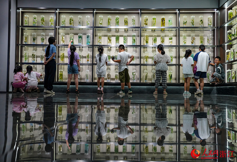 7月18日，在麗水經濟技術開發區中藥博物館內，“小候鳥”們正在觀看藥材標本。人民網 章勇濤攝