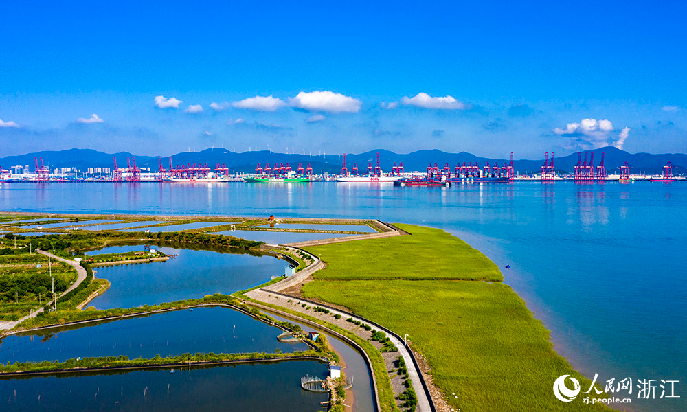 寧波舟山港梅山港區遠控設備集群數量居全國同類碼頭首位，“5G+北斗”應用設備數量位居全國集裝箱碼頭前列。人民網 章勇濤攝