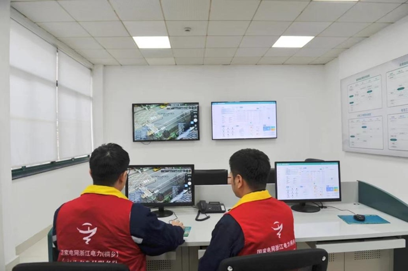 “紅船精算師”節能降碳服務團隊。國網桐鄉市供電公司供圖